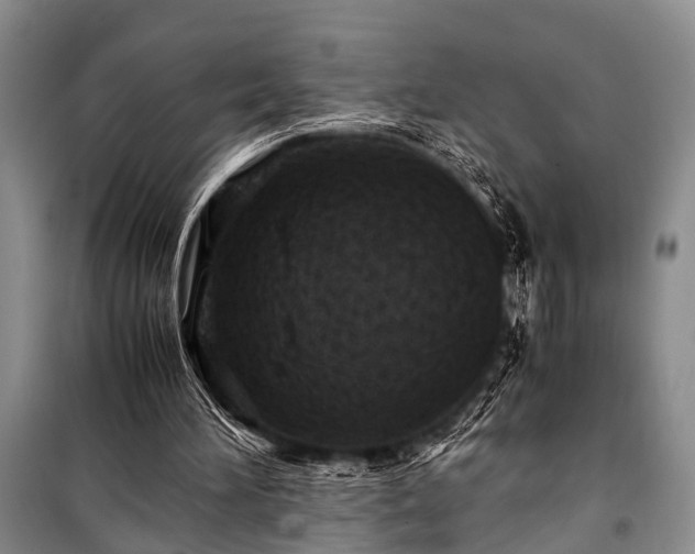 X0000100950196200807011316