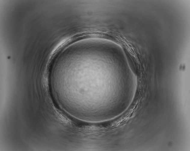 X0000100950197200807011316
