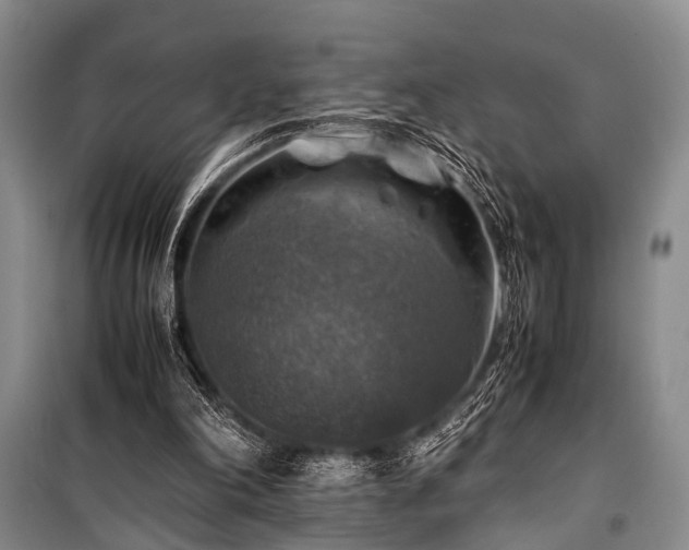 X0000100950198200807011316