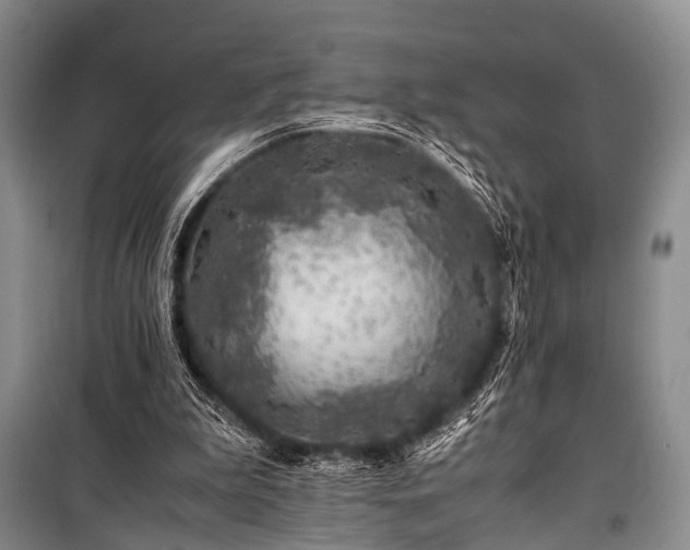 X0000100950199200807011316