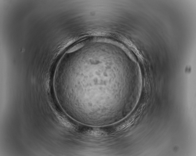 X0000100950201200807011316