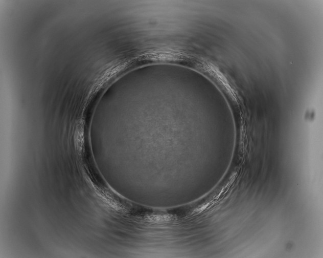 X0000100950202200807011316