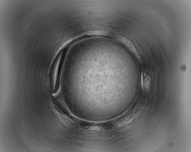 X0000100950204200807011316