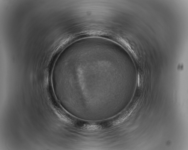 X0000100950205200807011316