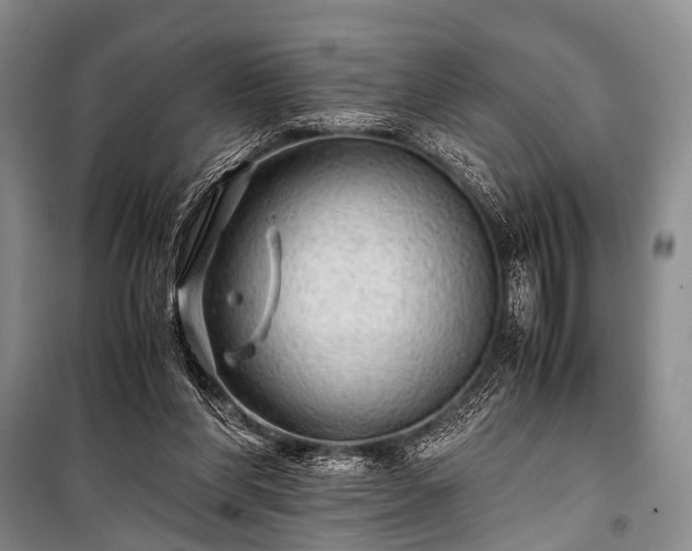 X0000100950206200807011316