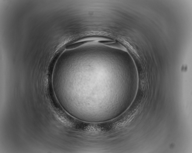 X0000100950207200807011316
