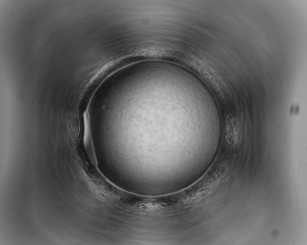 X0000100950208200807011316