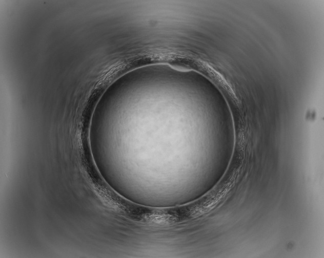 X0000100950209200807011316