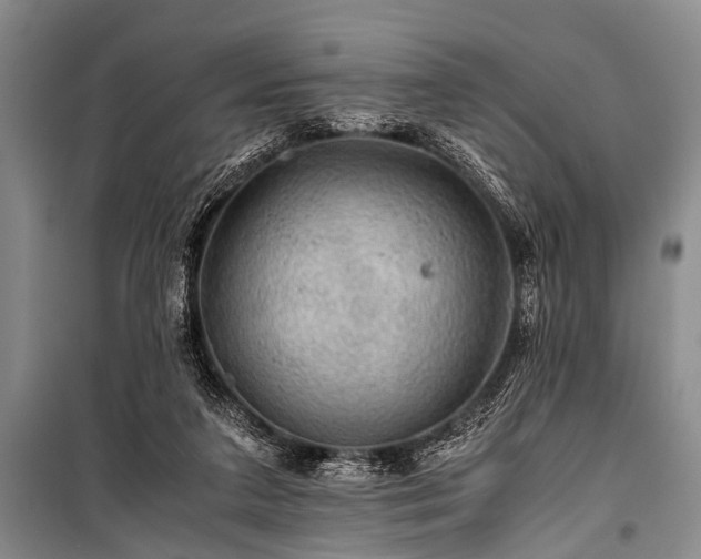 X0000100950211200807011316