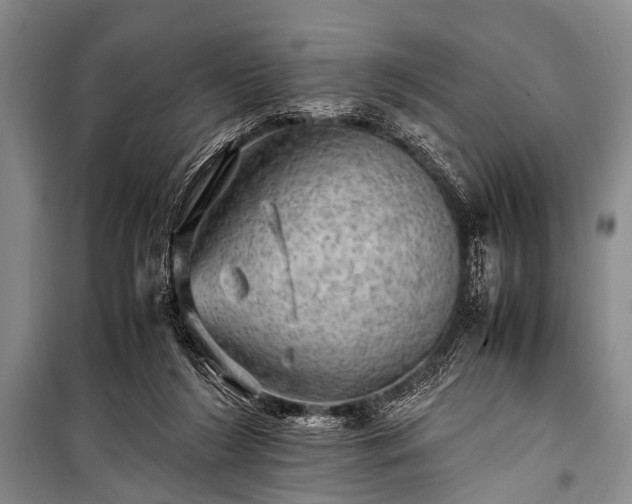 X0000100950212200807011316