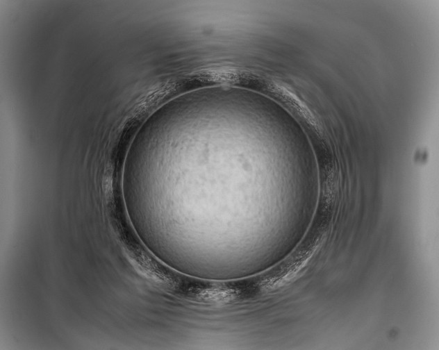 X0000100950213200807011316
