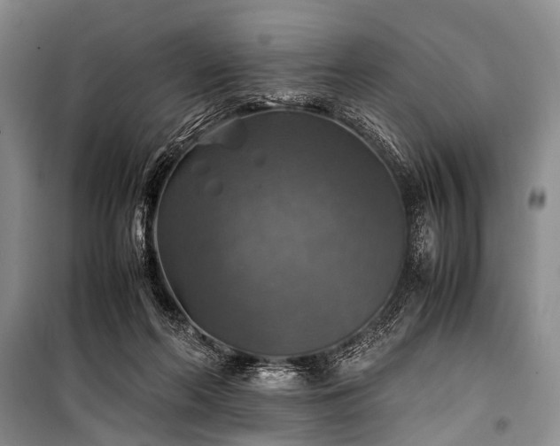 X0000100950214200807011316