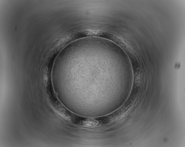 X0000100950215200807011316