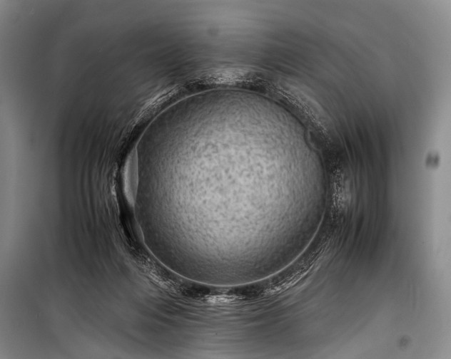 X0000100950216200807011316