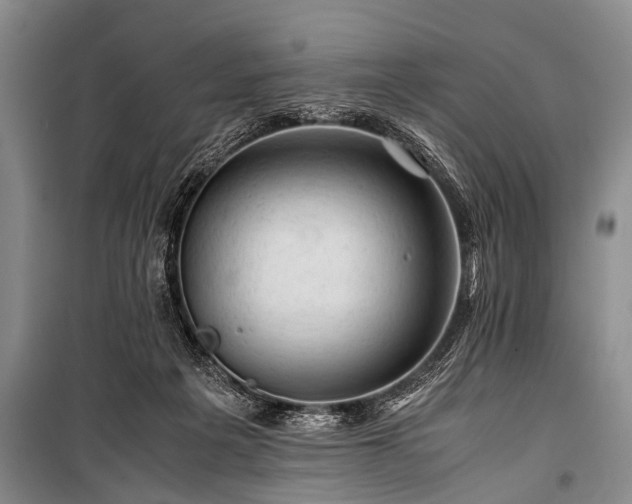 X0000100950217200807011316