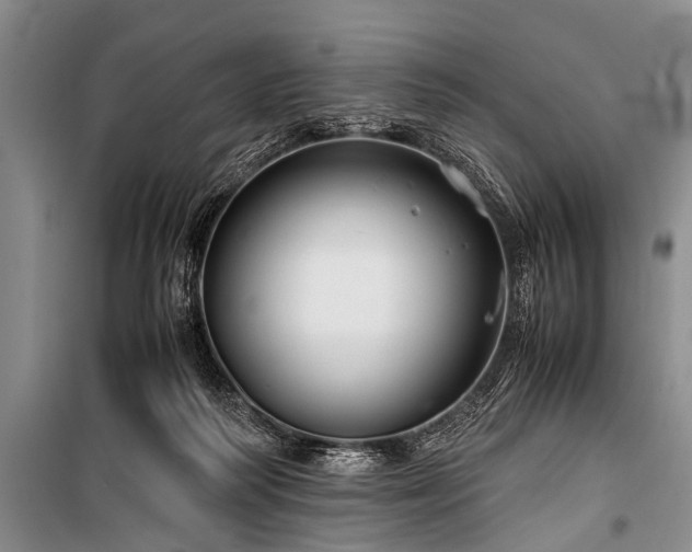X0000100950218200807011316