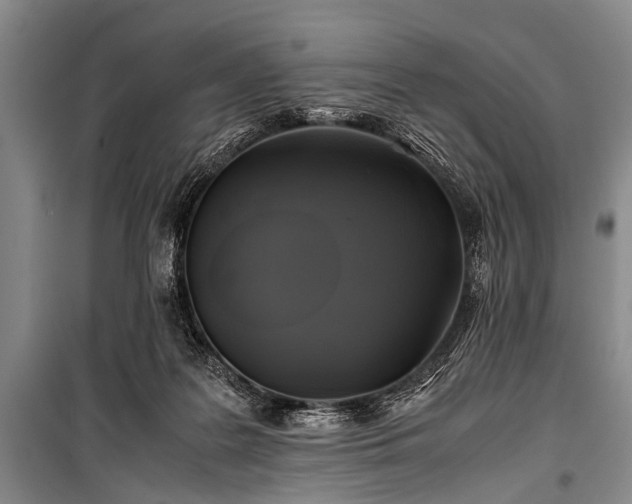 X0000100950219200807011316