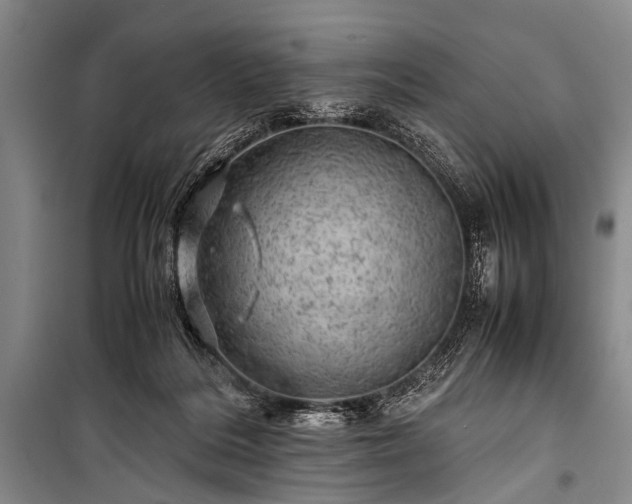 X0000100950220200807011316