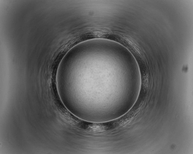 X0000100950221200807011316