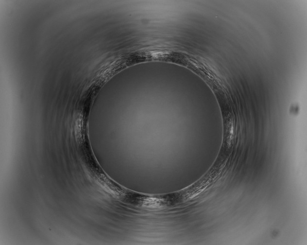 X0000100950222200807011316