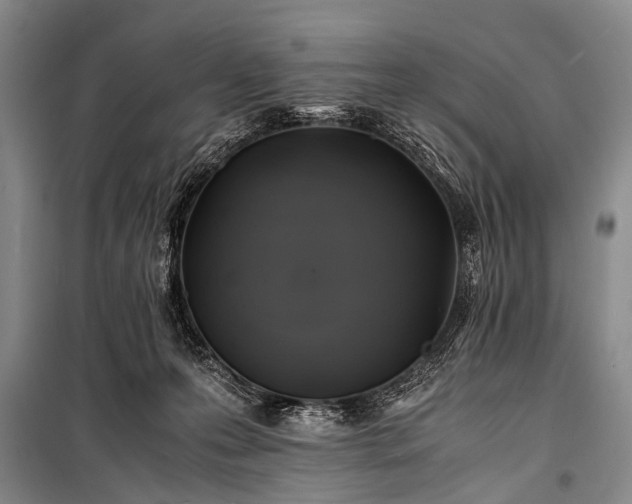 X0000100950223200807011316