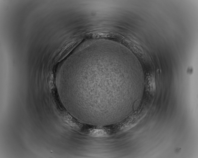 X0000100950224200807011316