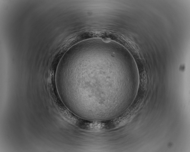 X0000100950225200807011316
