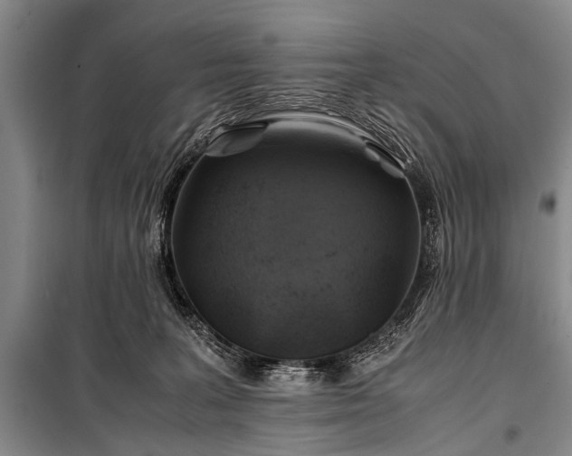 X0000100950227200807011316