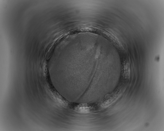 X0000100950228200807011316