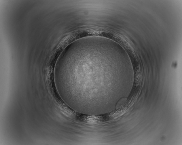 X0000100950229200807011316