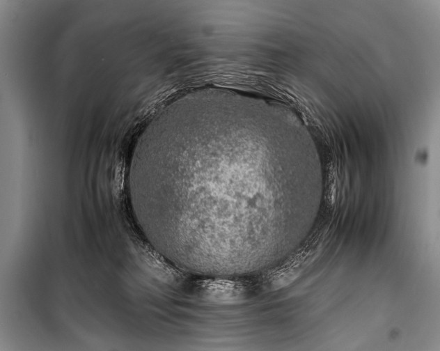 X0000100950230200807011316