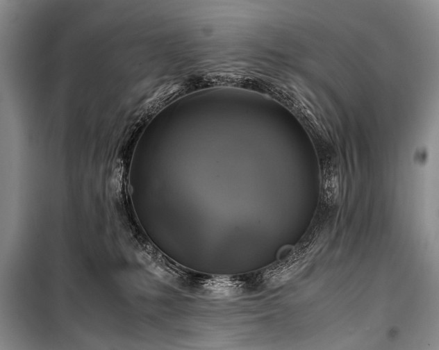 X0000100950231200807011316