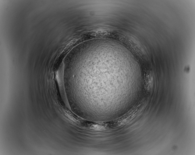 X0000100950232200807011316