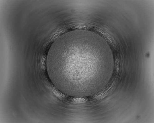 X0000100950234200807011316
