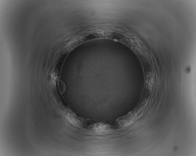 X0000100950235200807011316