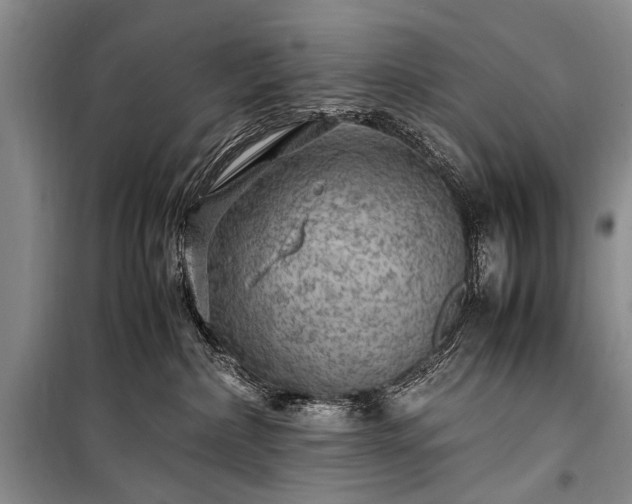X0000100950236200807011316