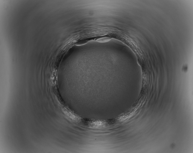 X0000100950237200807011316