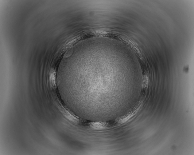 X0000100950238200807011316