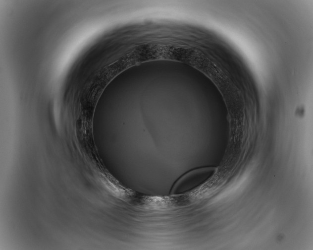 X0000100950239200807011316