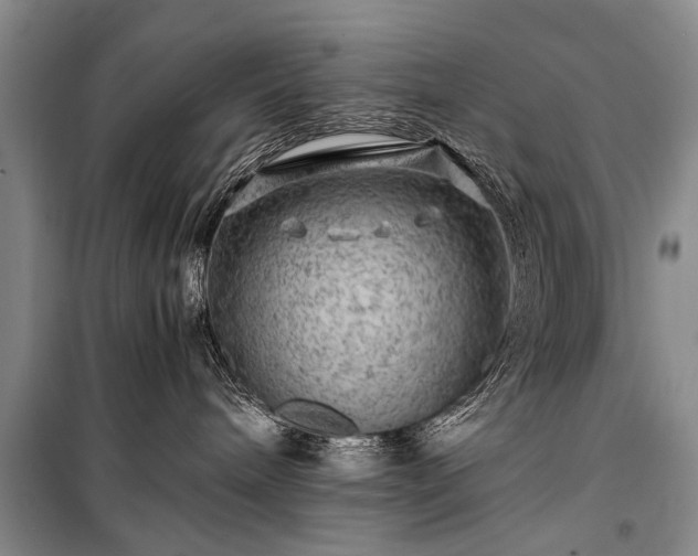 X0000100950240200807011316