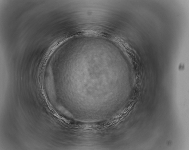 X0000100950241200807011315
