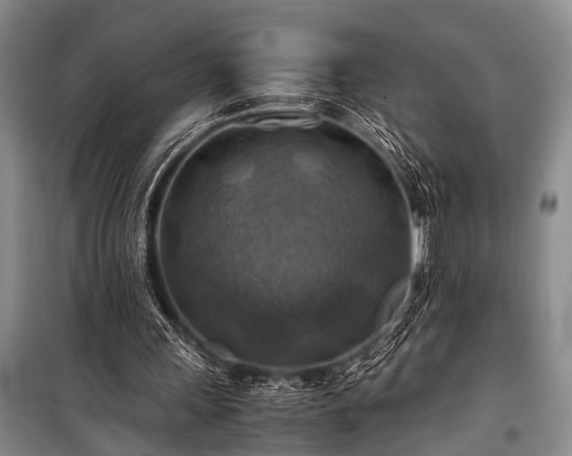 X0000100950243200807011315