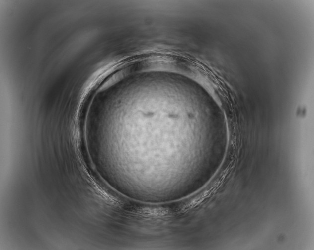 X0000100950245200807011315