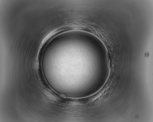 X0000100950246200807011315