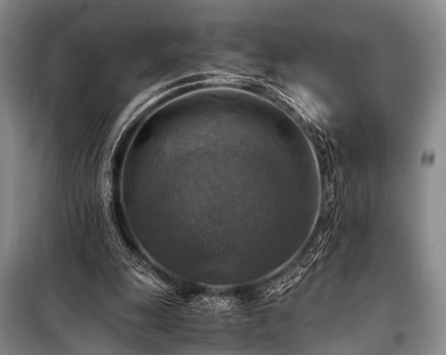X0000100950247200807011315