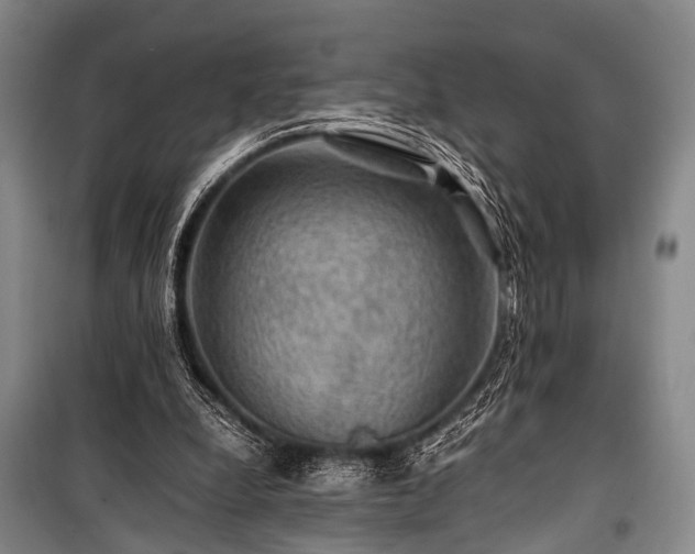 X0000100950248200807011315