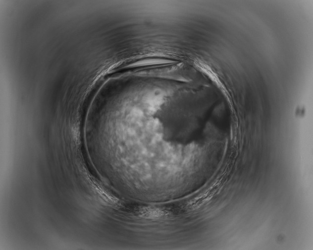 X0000100950249200807011315