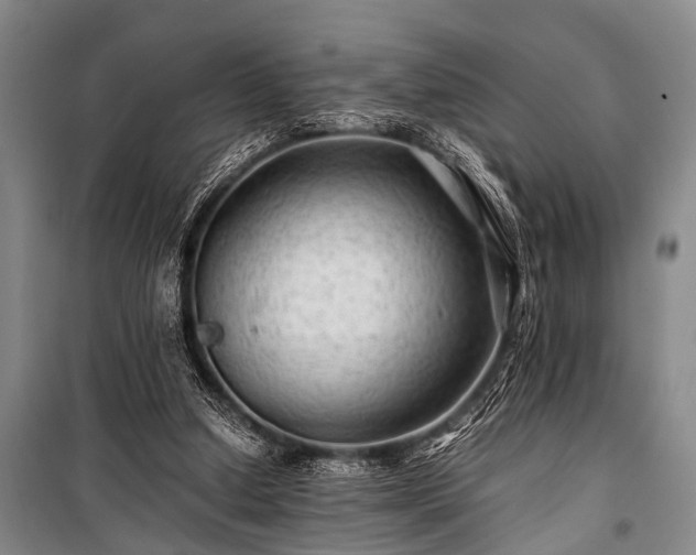 X0000100950250200807011315