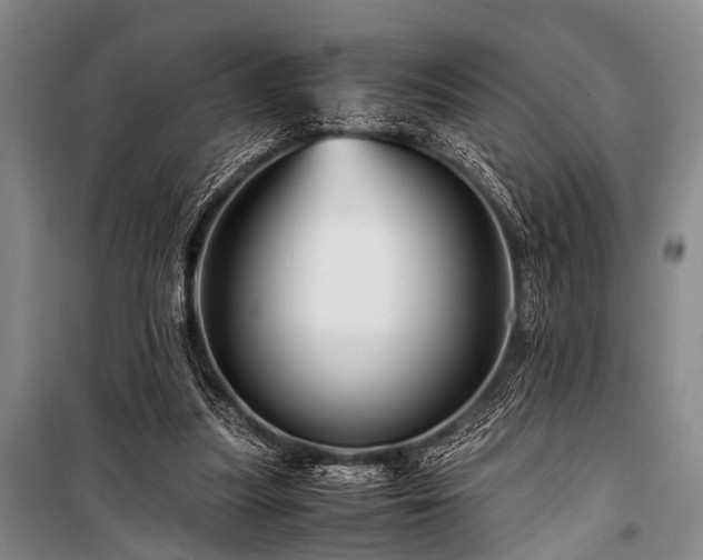 X0000100950251200807011315