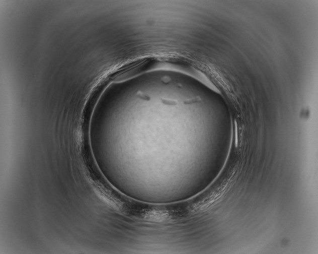 X0000100950252200807011315
